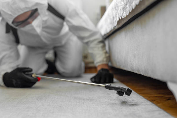 Professional Cockroach Control technician working in Prescott, WI
